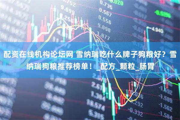 配资在线机构论坛网 雪纳瑞吃什么牌子狗粮好？雪纳瑞狗粮推荐榜单！_配方_颗粒_肠胃