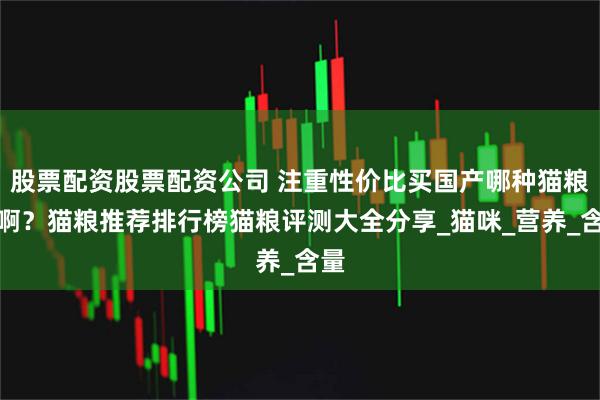 股票配资股票配资公司 注重性价比买国产哪种猫粮好啊？猫粮推荐排行榜猫粮评测大全分享_猫咪_营养_含量