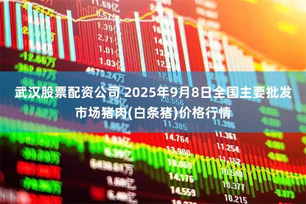 武汉股票配资公司 2025年9月8日全国主要批发市场猪肉(白条猪)价格行情